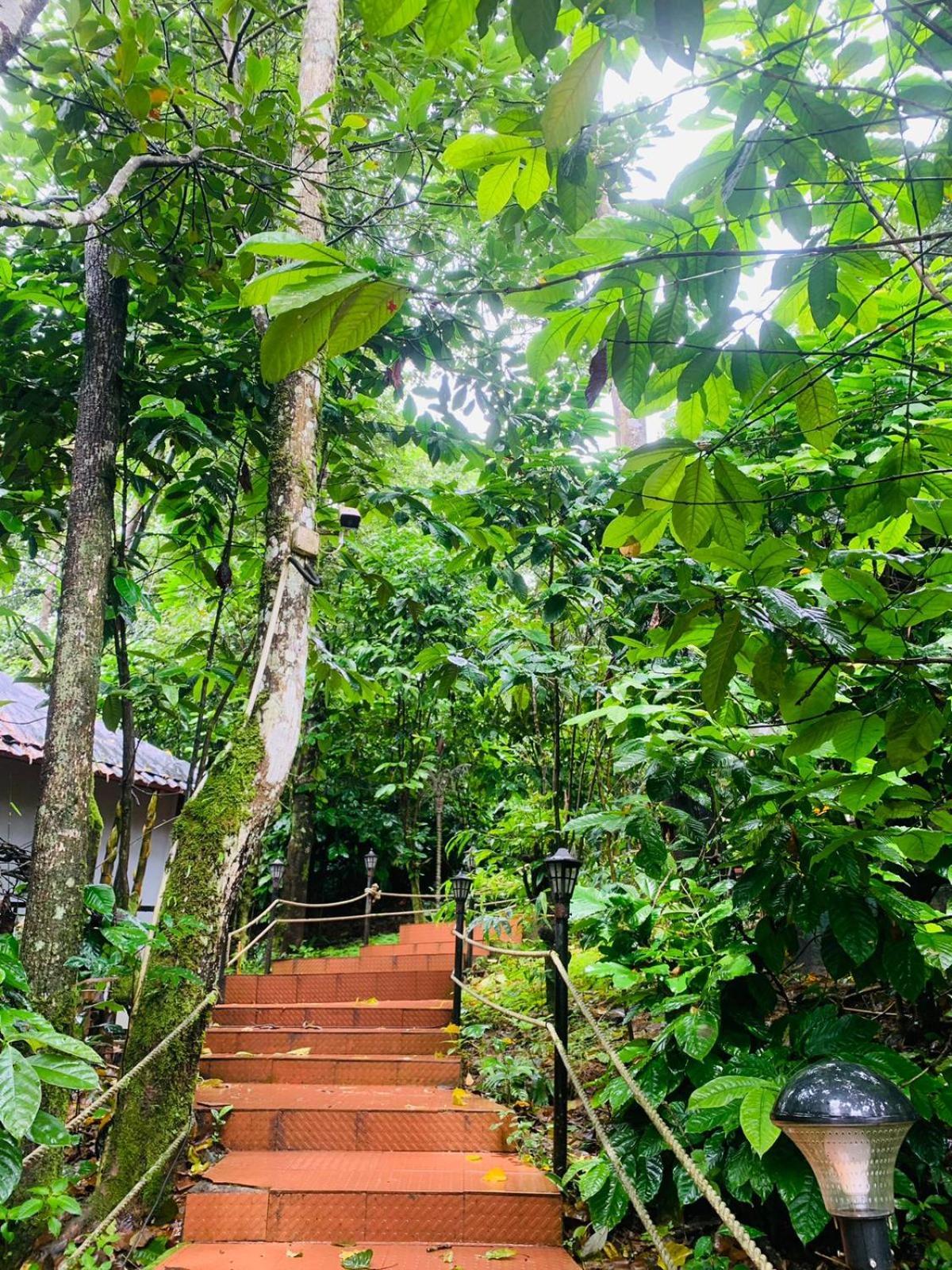 The Mountain Shades Resort Madikeri Eksteriør bilde