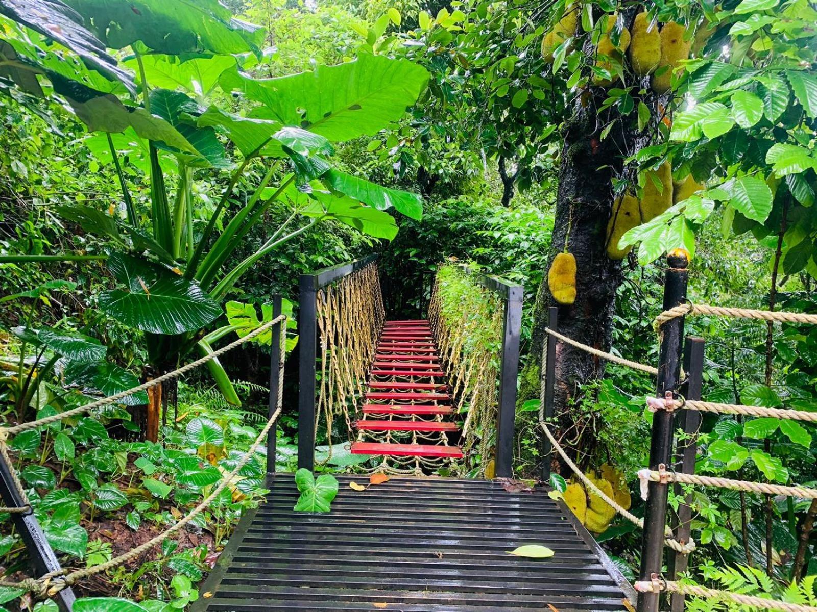 The Mountain Shades Resort Madikeri Eksteriør bilde