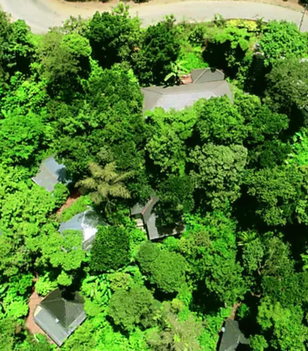 The Mountain Shades Resort Madikeri Eksteriør bilde