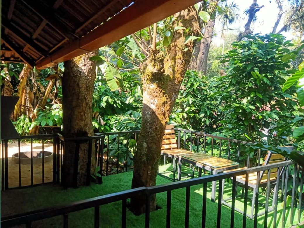 The Mountain Shades Resort Madikeri Eksteriør bilde